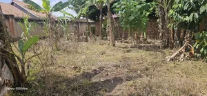 Land 40ft by 48ft on Sell
