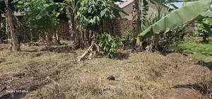 Land 40ft by 48ft on Sell