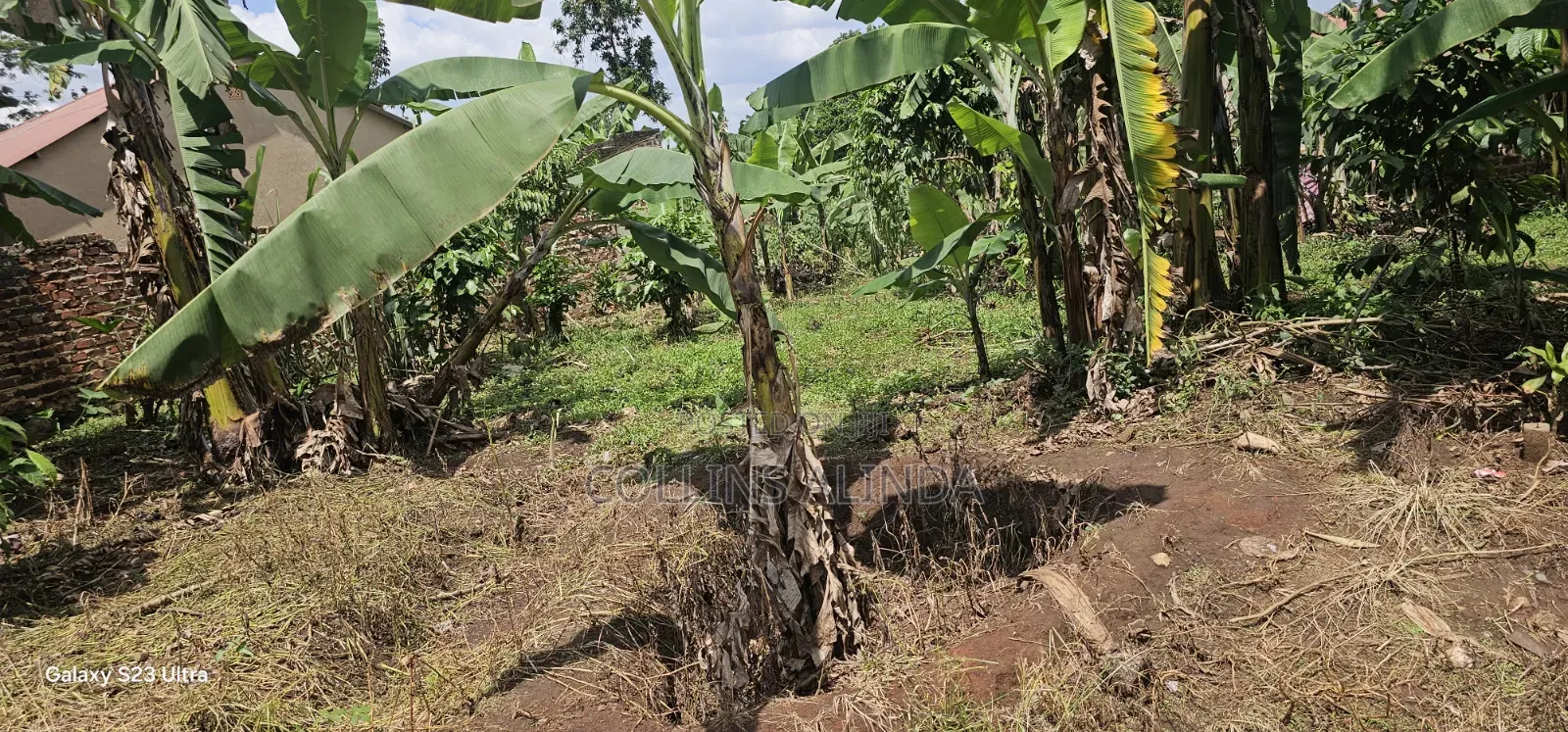 Land 40ft by 48ft on Sell