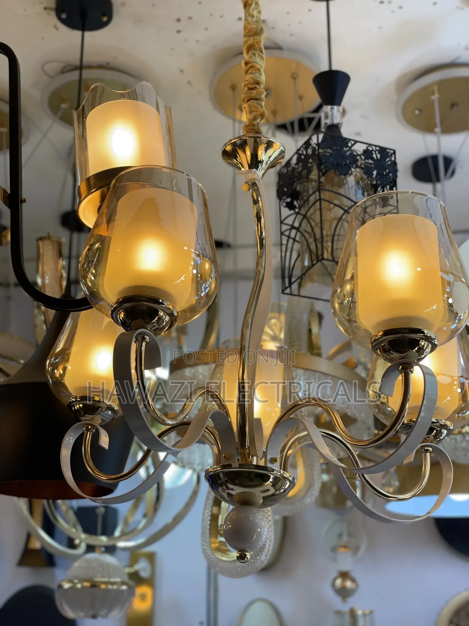 Desidned Chandelier