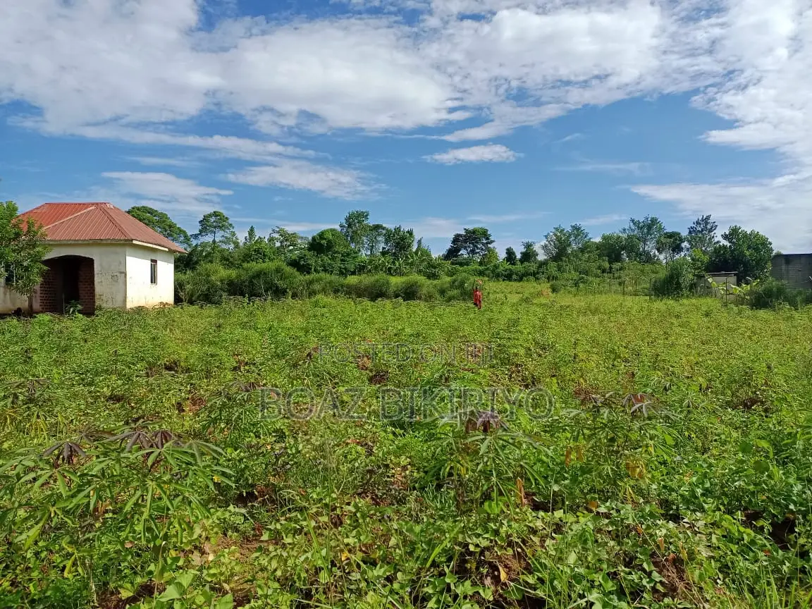 Land for Sale