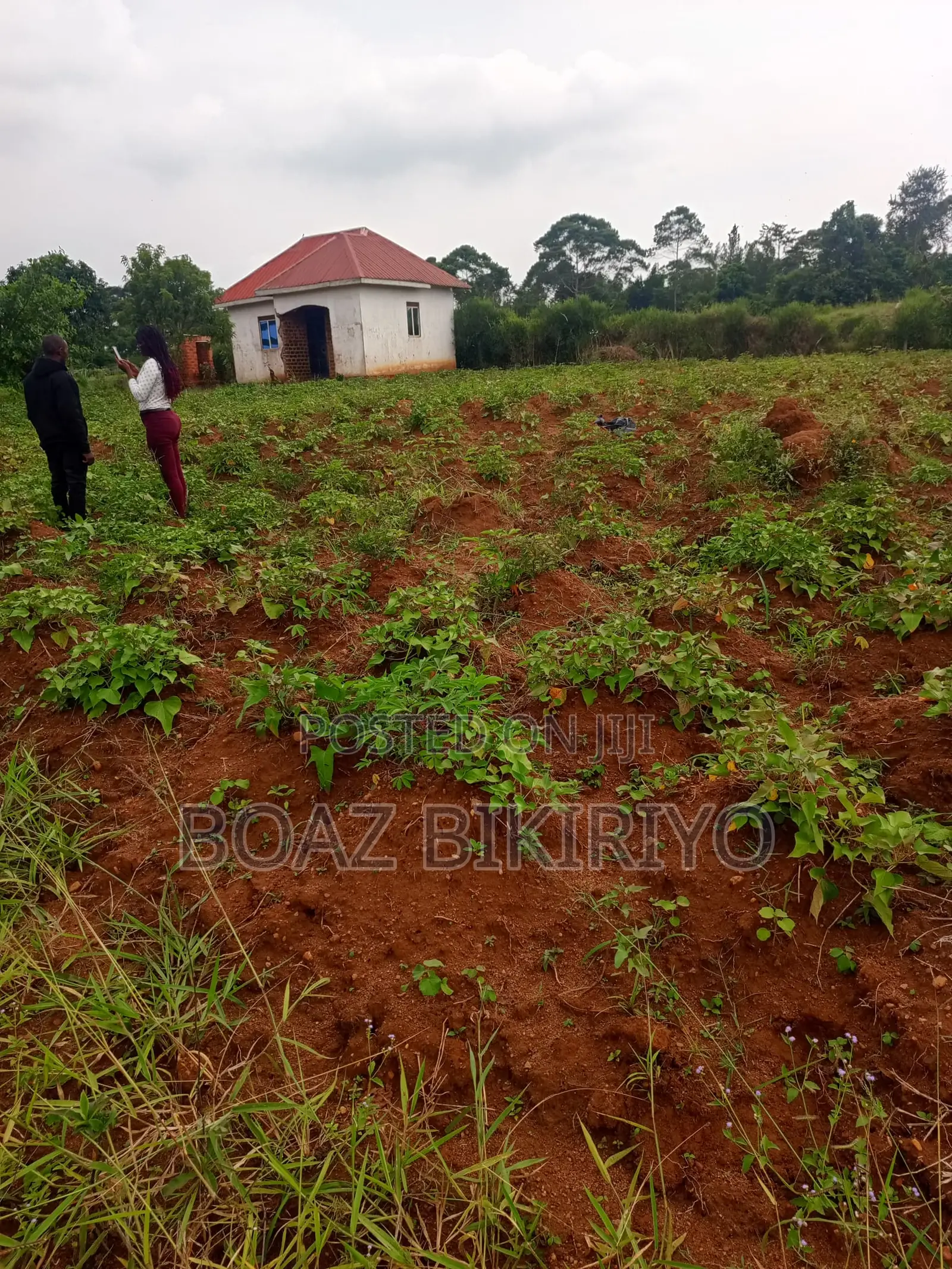 Land for Sale