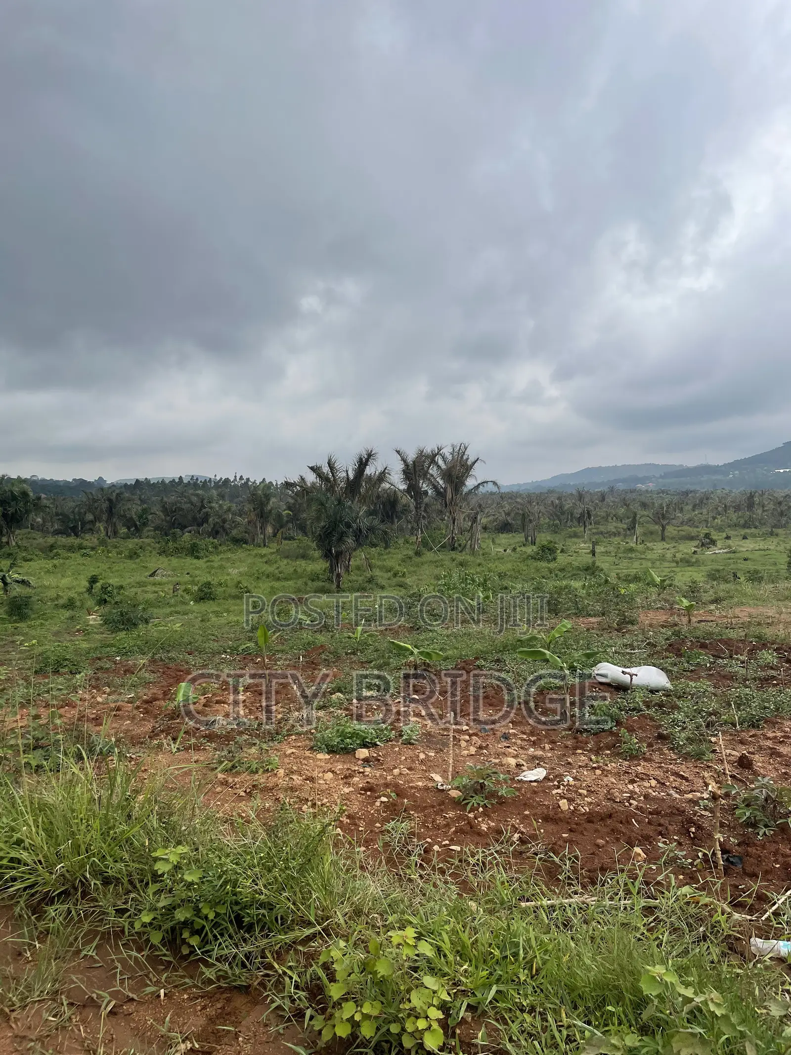 50*100 Ft. Plot for Sale