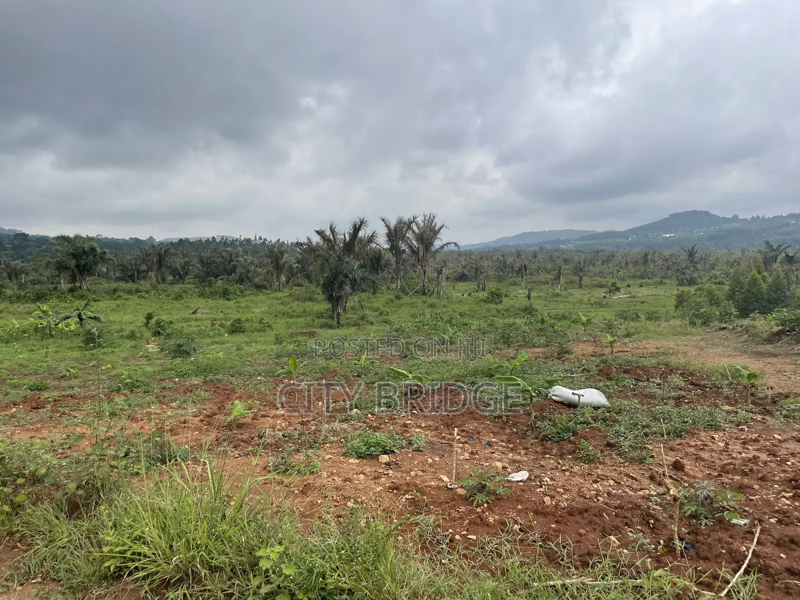 50*100 Ft. Plot for Sale