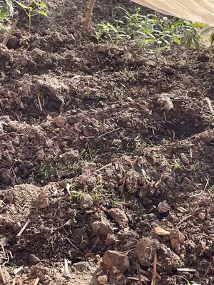 Land on Sale in Nansana Kigoma