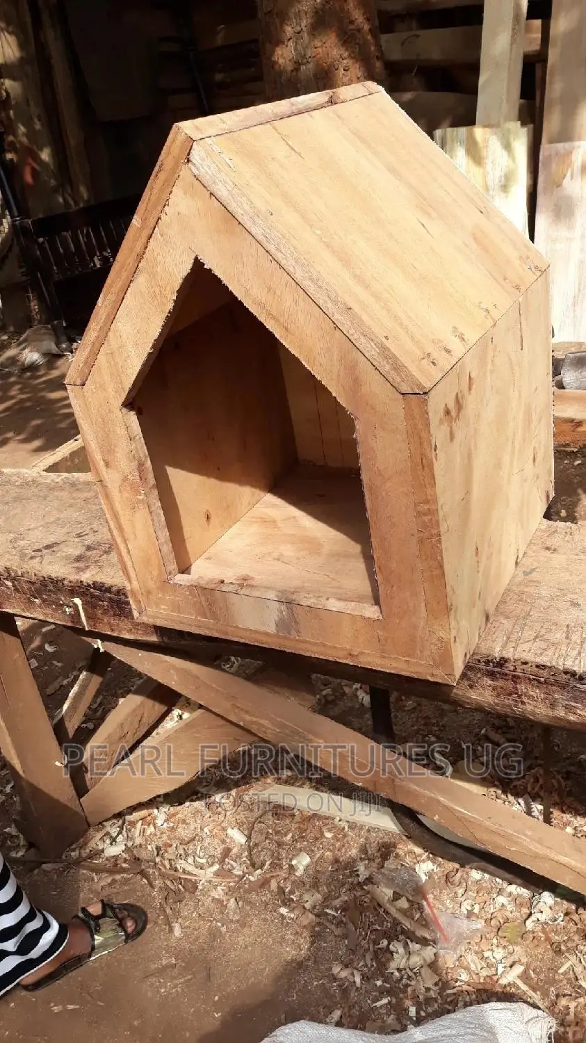 Cattery And Kennels