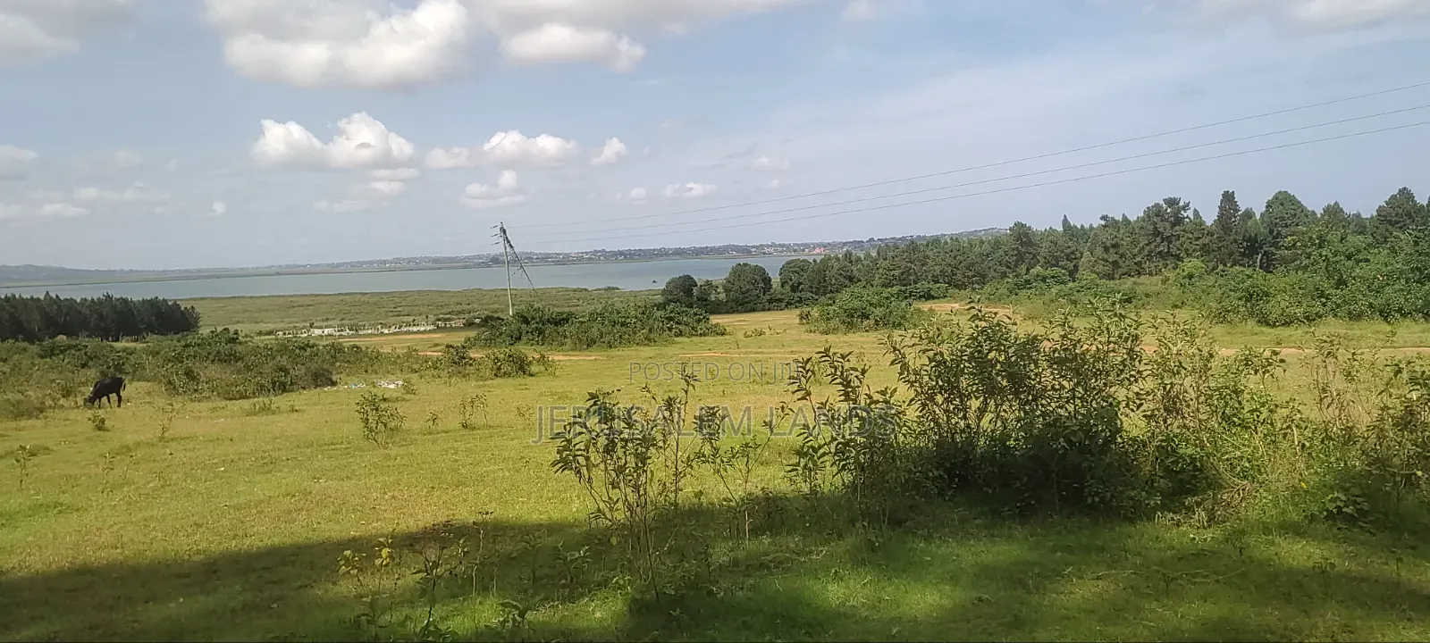 100 Decimal Lake View Airport View Close to Beach There 8plots