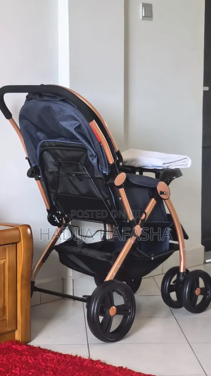 Stroller (New and Excellent Condition)