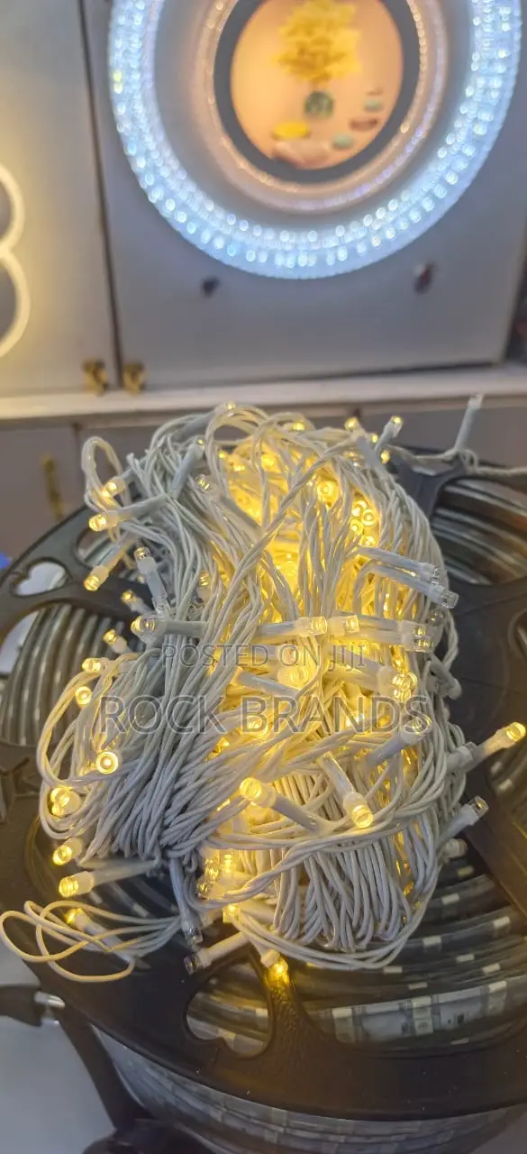 Led Rice Lights