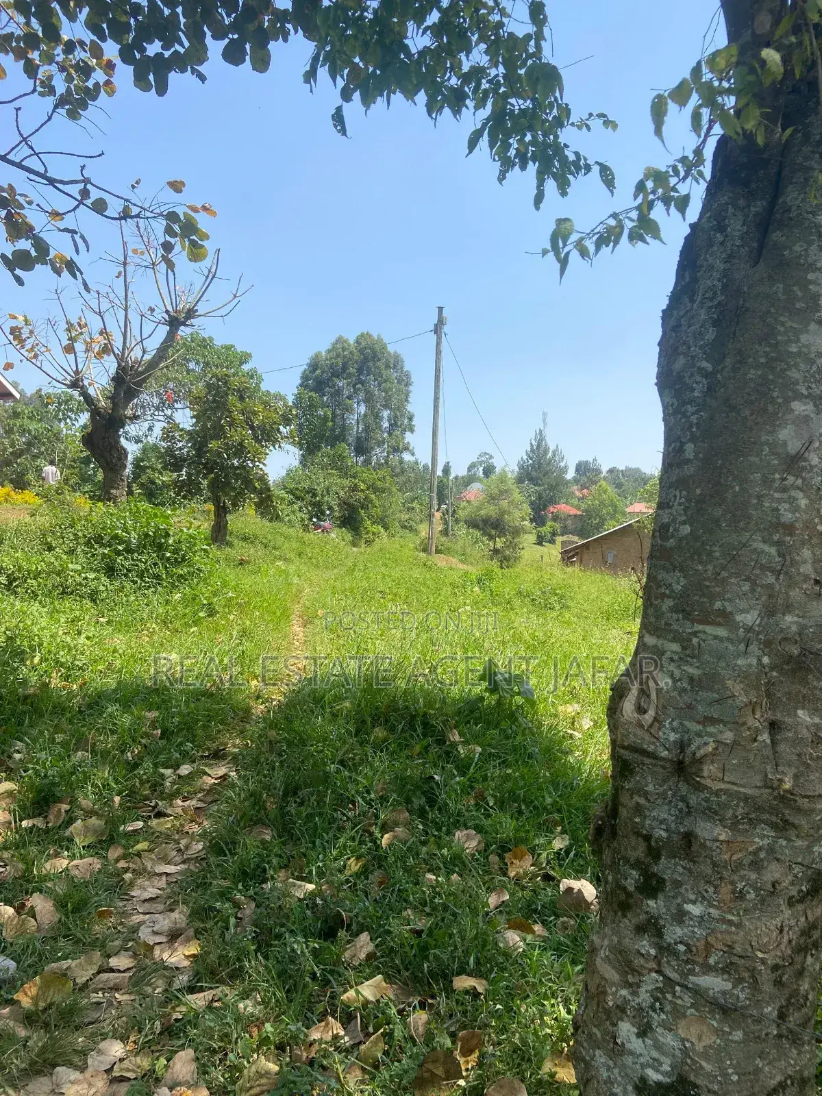 Estate in Central Division,Fort Portal City.