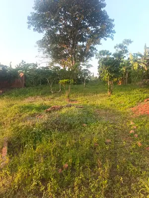 Quick Sale Land for Sale – Hoima Road