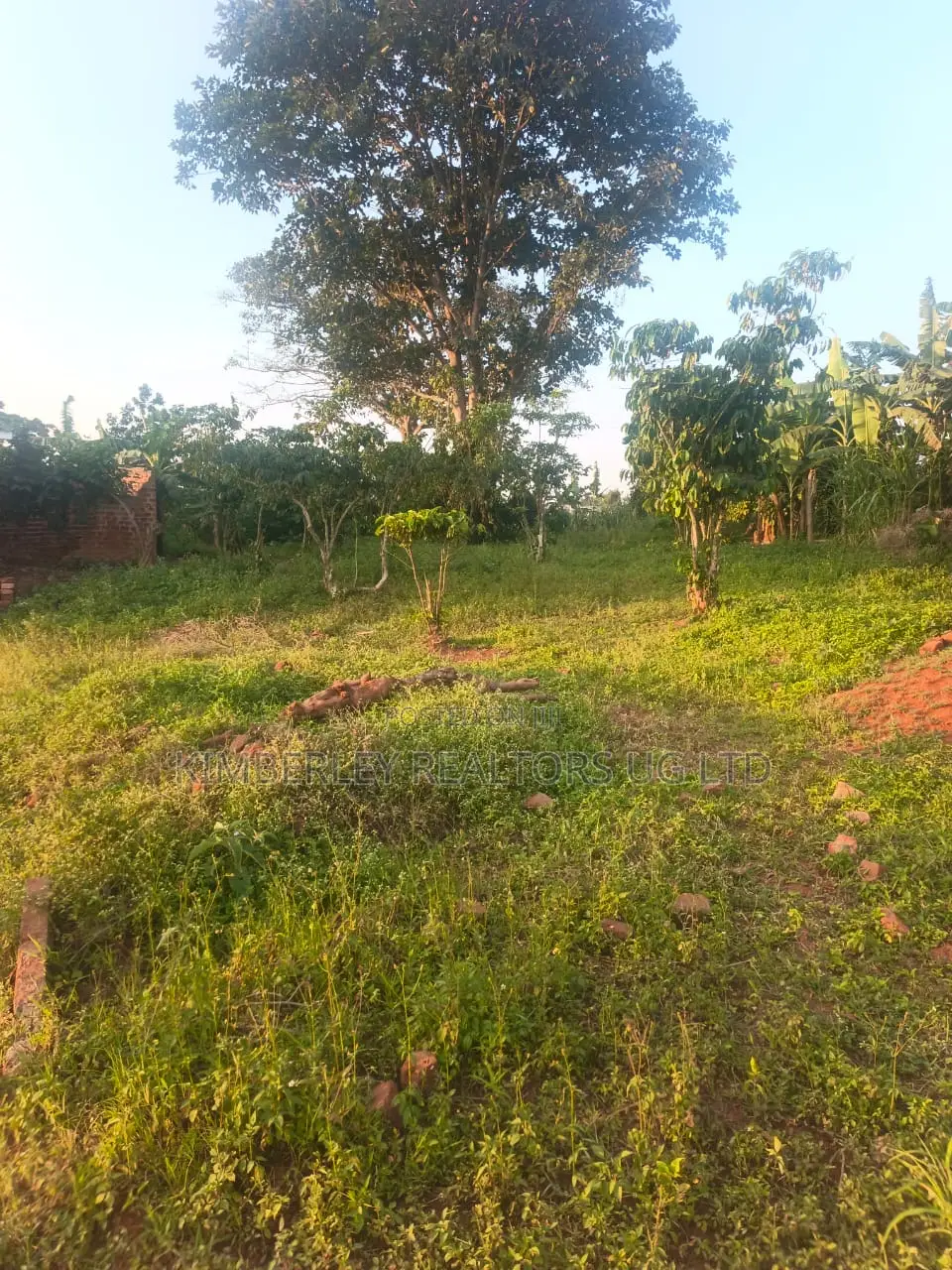 Quick Sale Land for Sale – Hoima Road