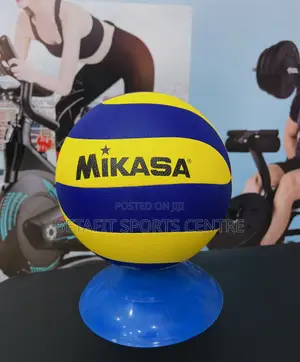 Professional Volleyball Size 5
