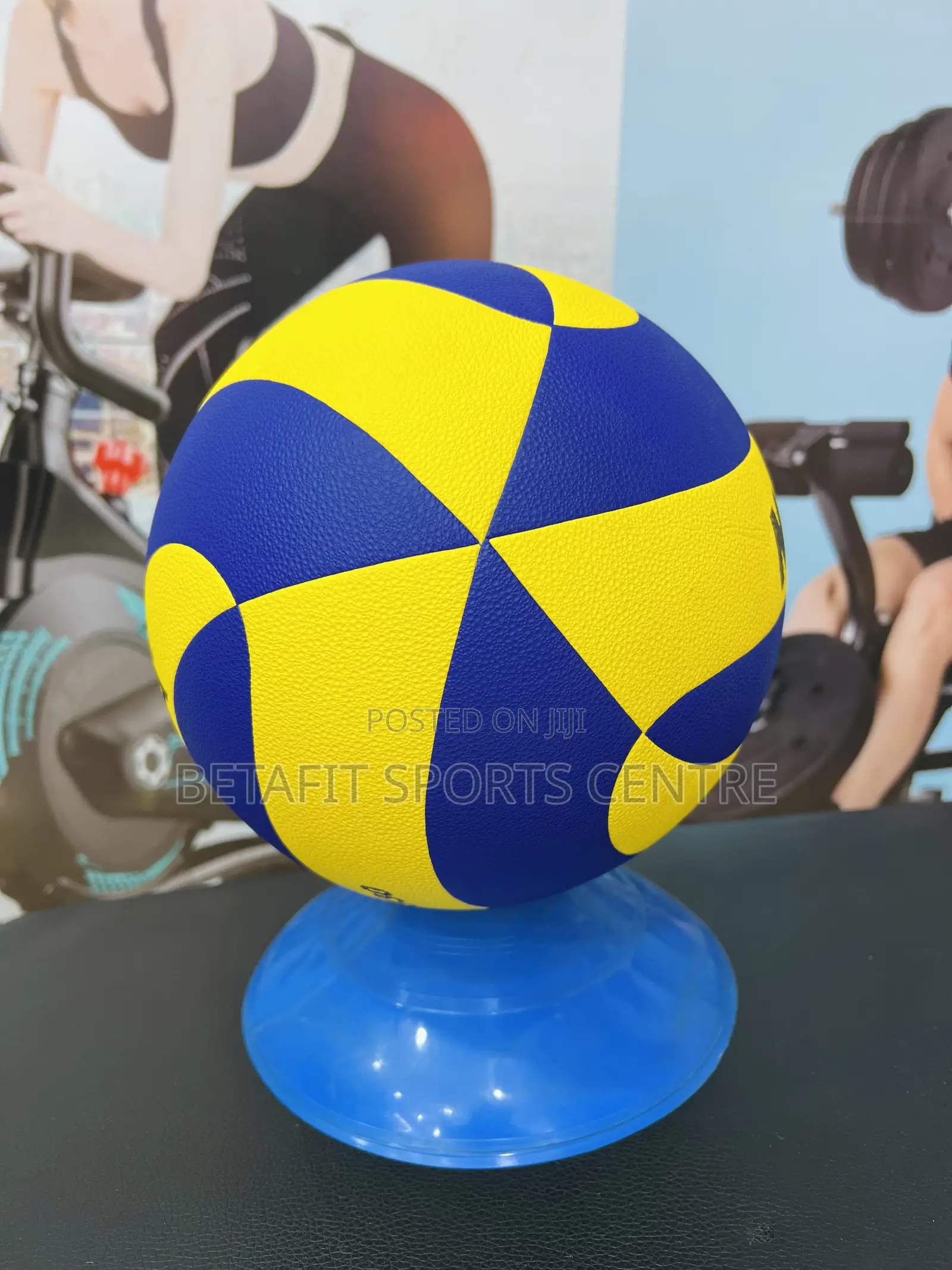 Professional Volleyball Size 5