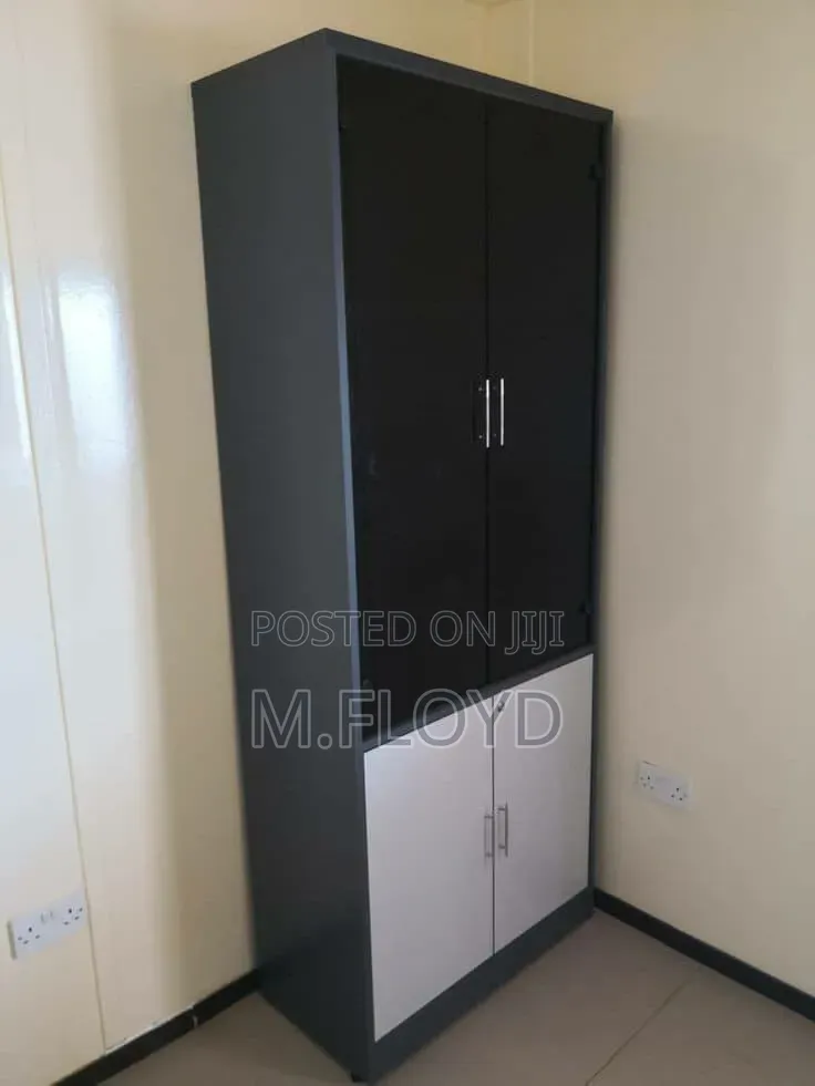 Mediam Closet 2 Doors Shoe Safe