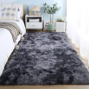 Cozy Living Room Fluffy Carpet