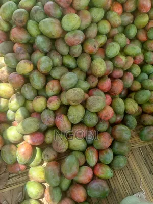 Fruits and Vegetables