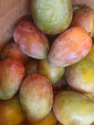 Fruits and Vegetables