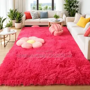 Modern Fluffy Carpet