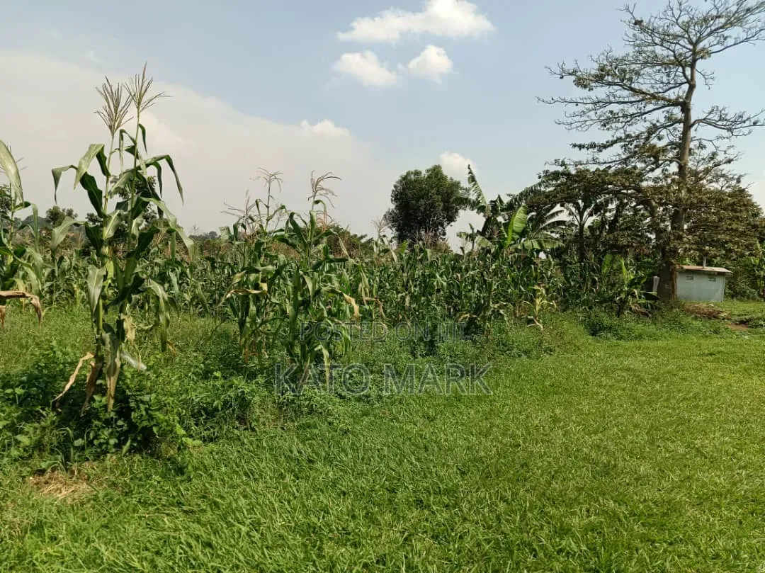 One Acre and Half for Sale Located at Mukono Nkokonjeru