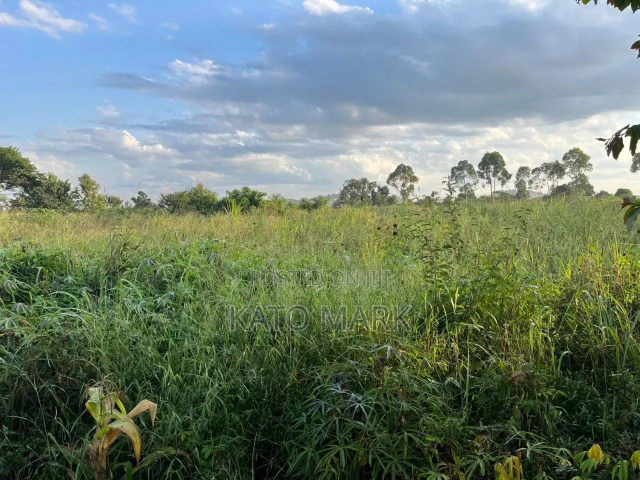 One Acre and Half for Sale Located at Mukono Nkokonjeru