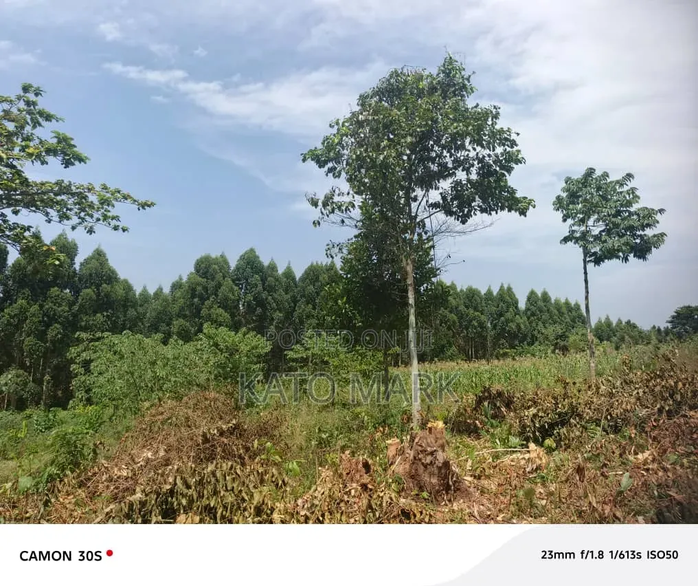 Half Acre for Sale Located at Mukono Katosi