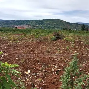 Quick Sale Hilltop Land – Mutundwe (Kampala View)