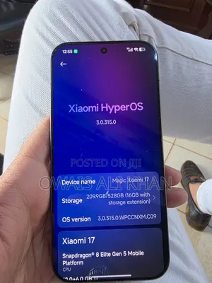 Xiaomi 17 512 GB Gray