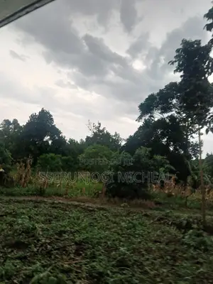 Land ( 1 Acre )