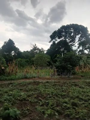 Land ( 1 Acre )