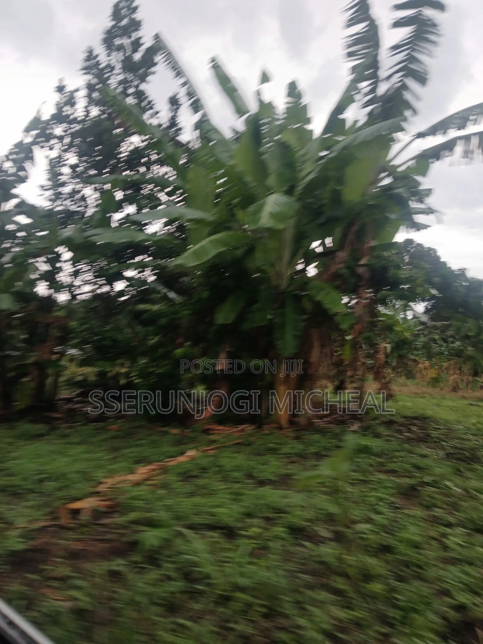Land ( 1 Acre )
