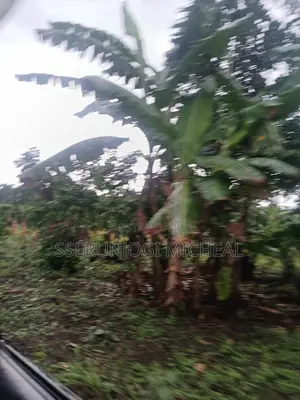 Land ( 1 Acre )