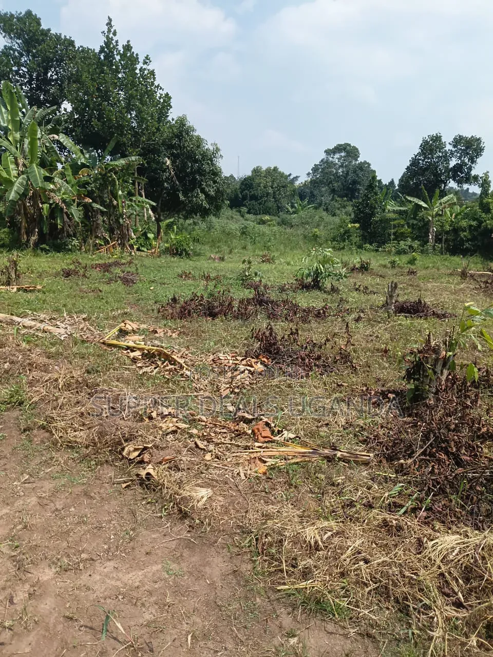 40by25 Ft Plot for Sale in Gayaza