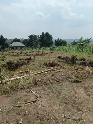 40by25 Ft Plot for Sale in Gayaza