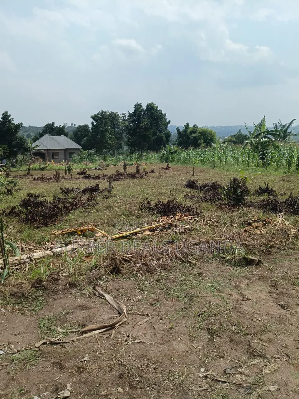 40by25 Ft Plot for Sale in Gayaza