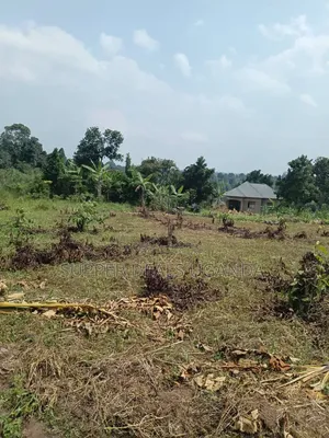 40by25 Ft Plot for Sale in Gayaza