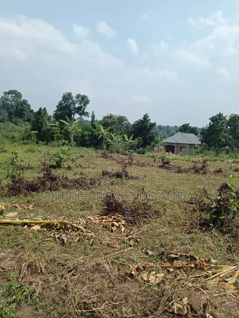 40by25 Ft Plot for Sale in Gayaza