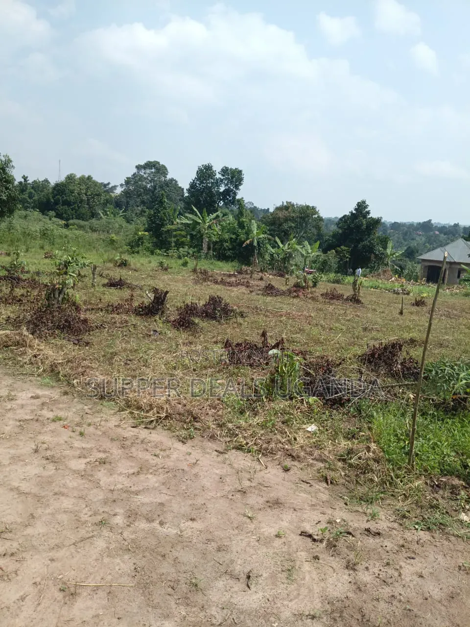 40by25 Ft Plot for Sale in Gayaza