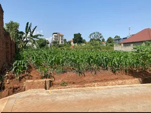 50by30ft Plot for Sale in Gayaza