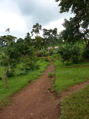 Quick Sale Plot – Seguku Katale (Near Main Road)