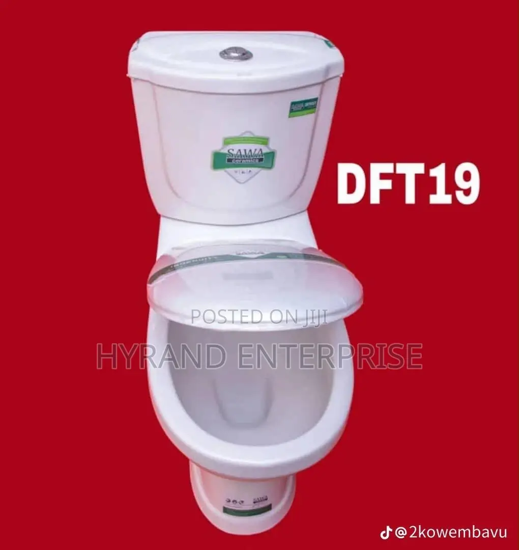 Ordinary Sawa Toilets