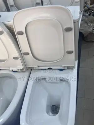 Ordinary Frencia Toilets