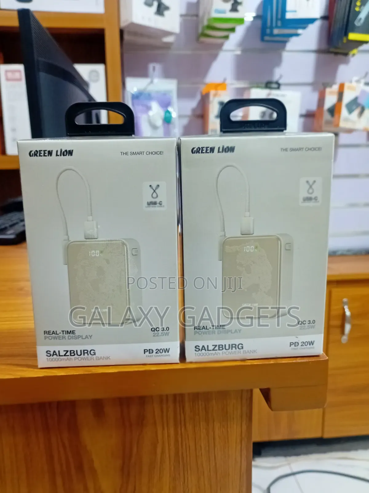 Green Lion Salzburg 10000mah Power Bank