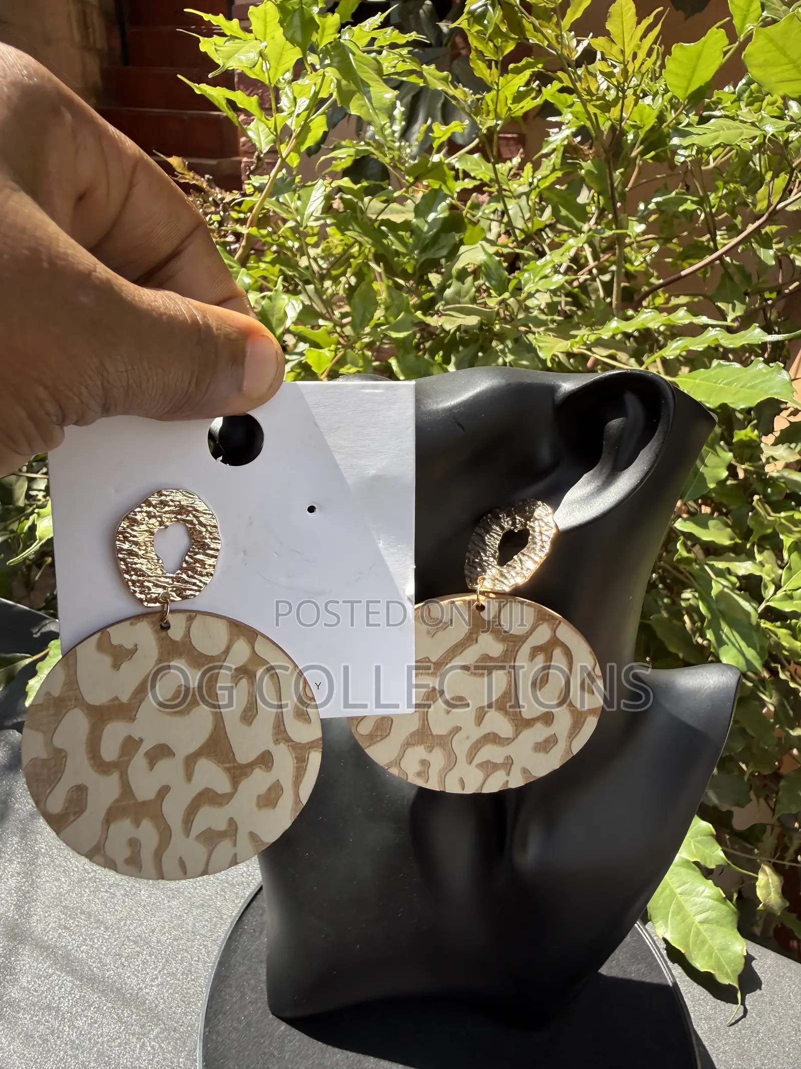 Elegant Earrings
