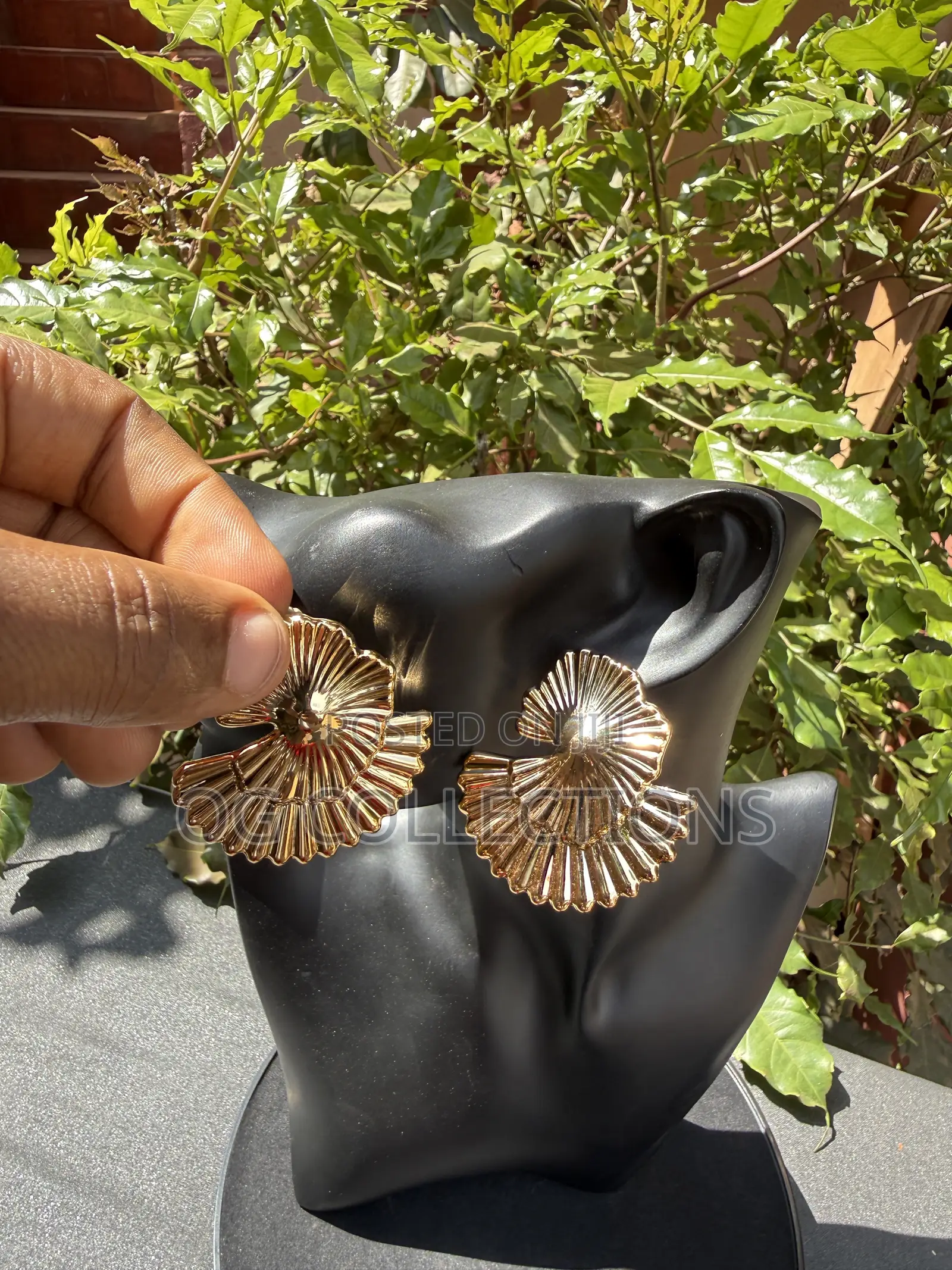 Elegant Earrings