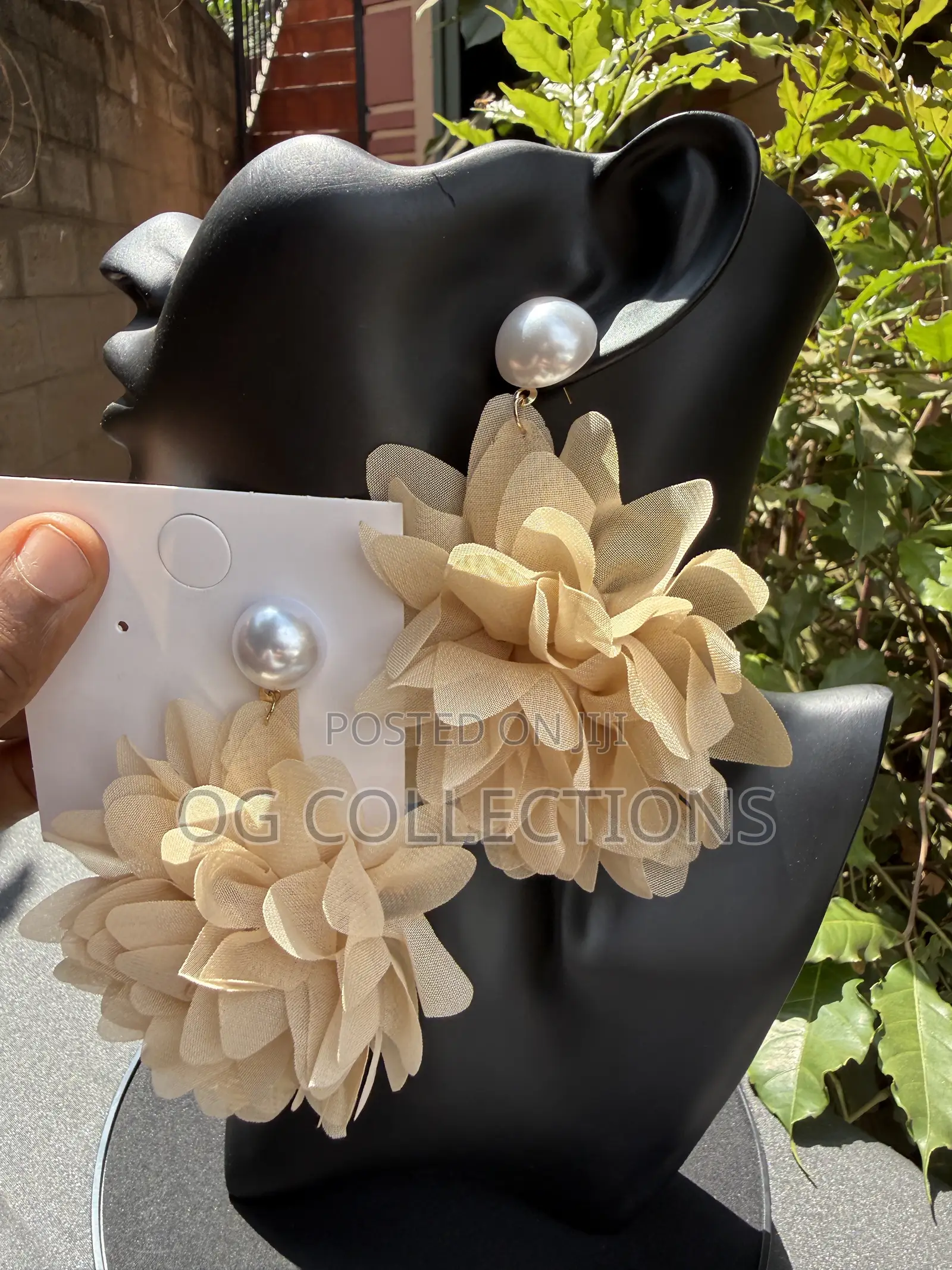 Elegant Earrings