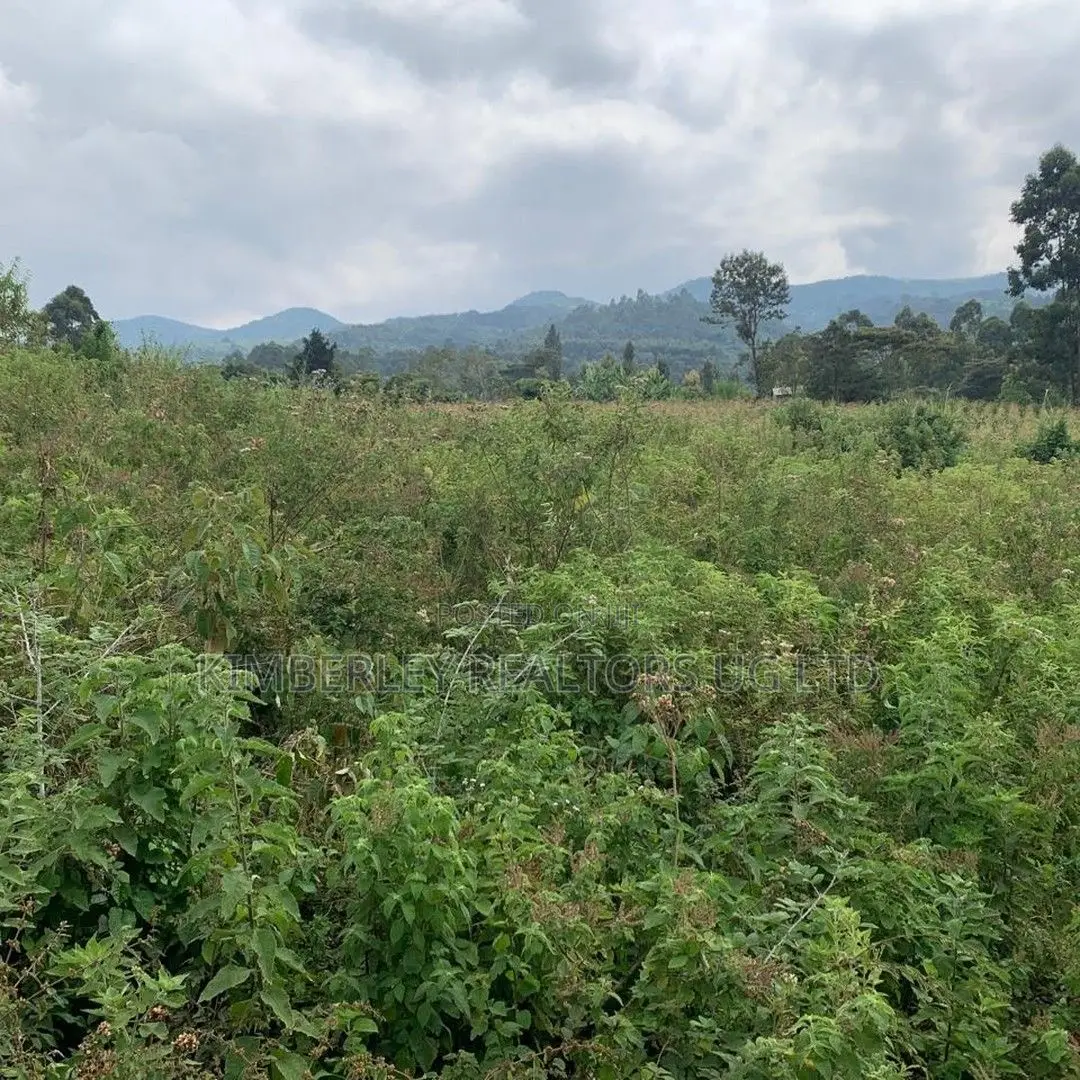Quick Sale Land – Namataba