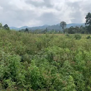 Quick Sale Land – Namataba
