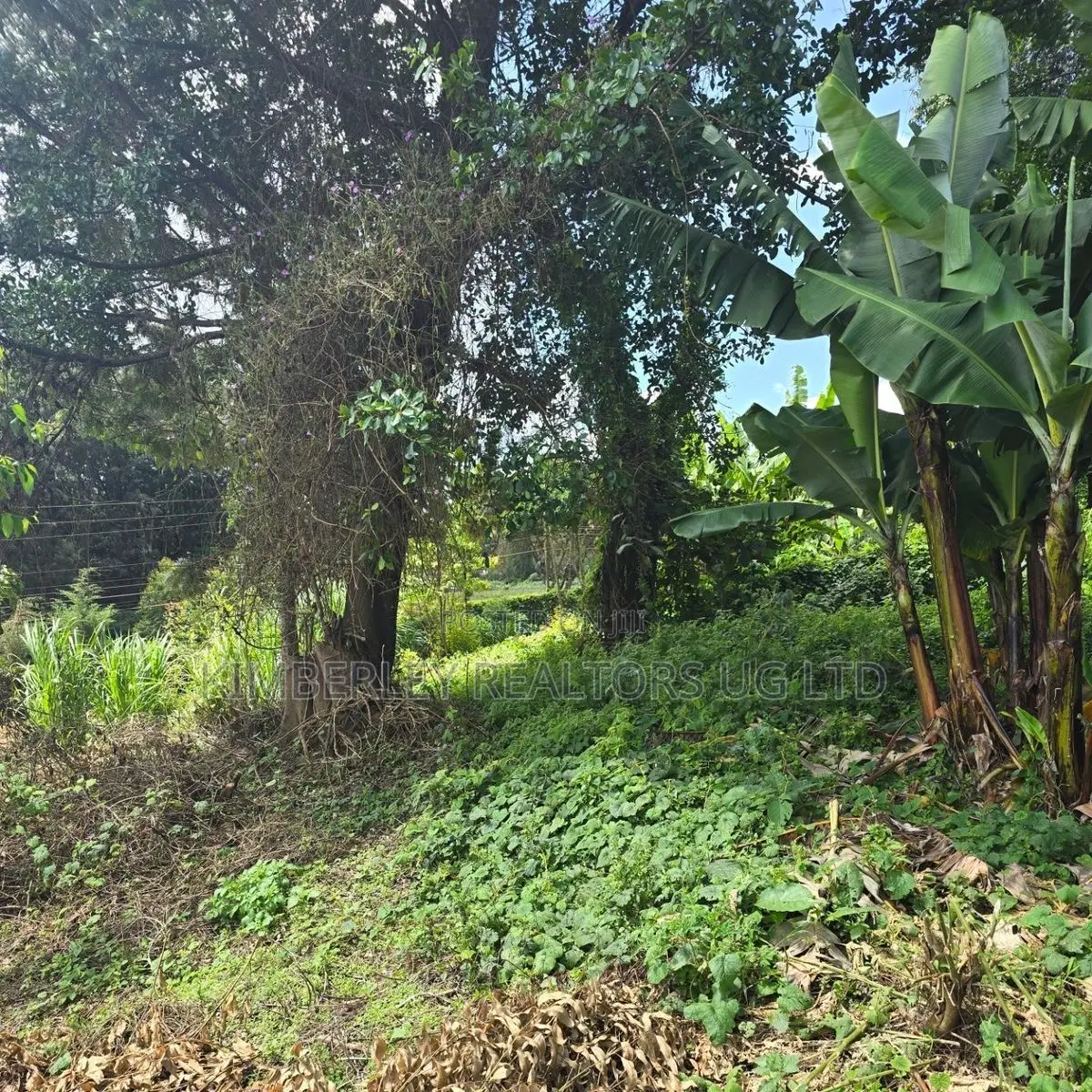 Quick Sale Plots – Munyonyo / Kigo