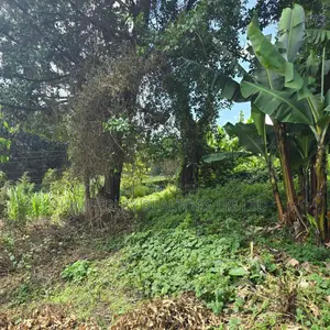Quick Sale Plots – Munyonyo / Kigo
